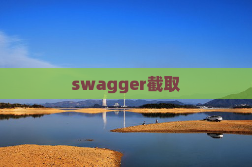 swagger截取